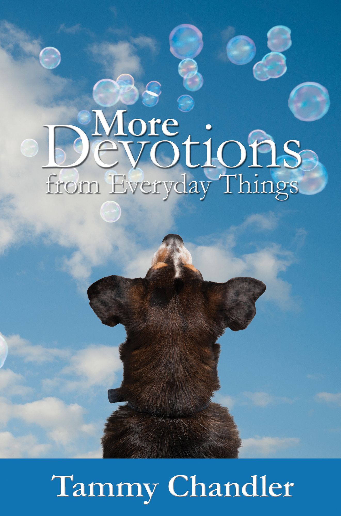 More Devotions from Everyday Things