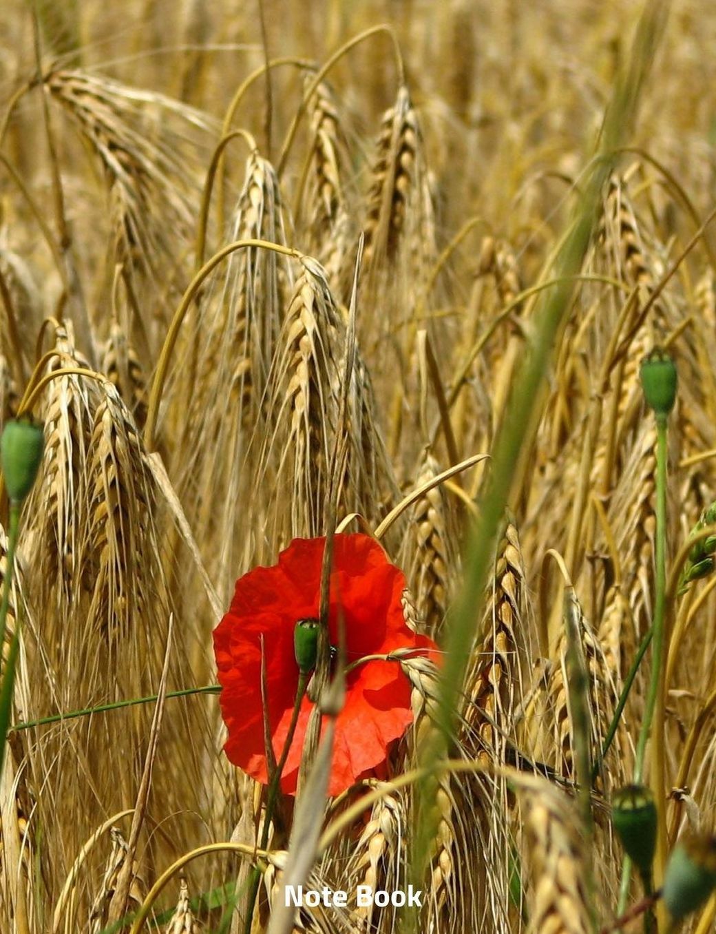 Note Book: Poppy in a Wheat Field, Writing Book, Wide Ruled, 200 Paged 7.44 X 9.69