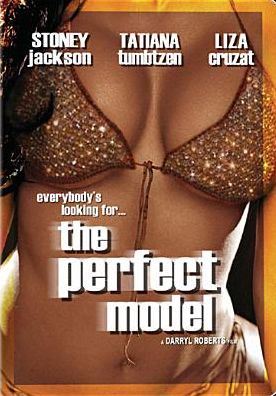 The Perfect Model