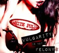 Vulgarity is Not a Felony
