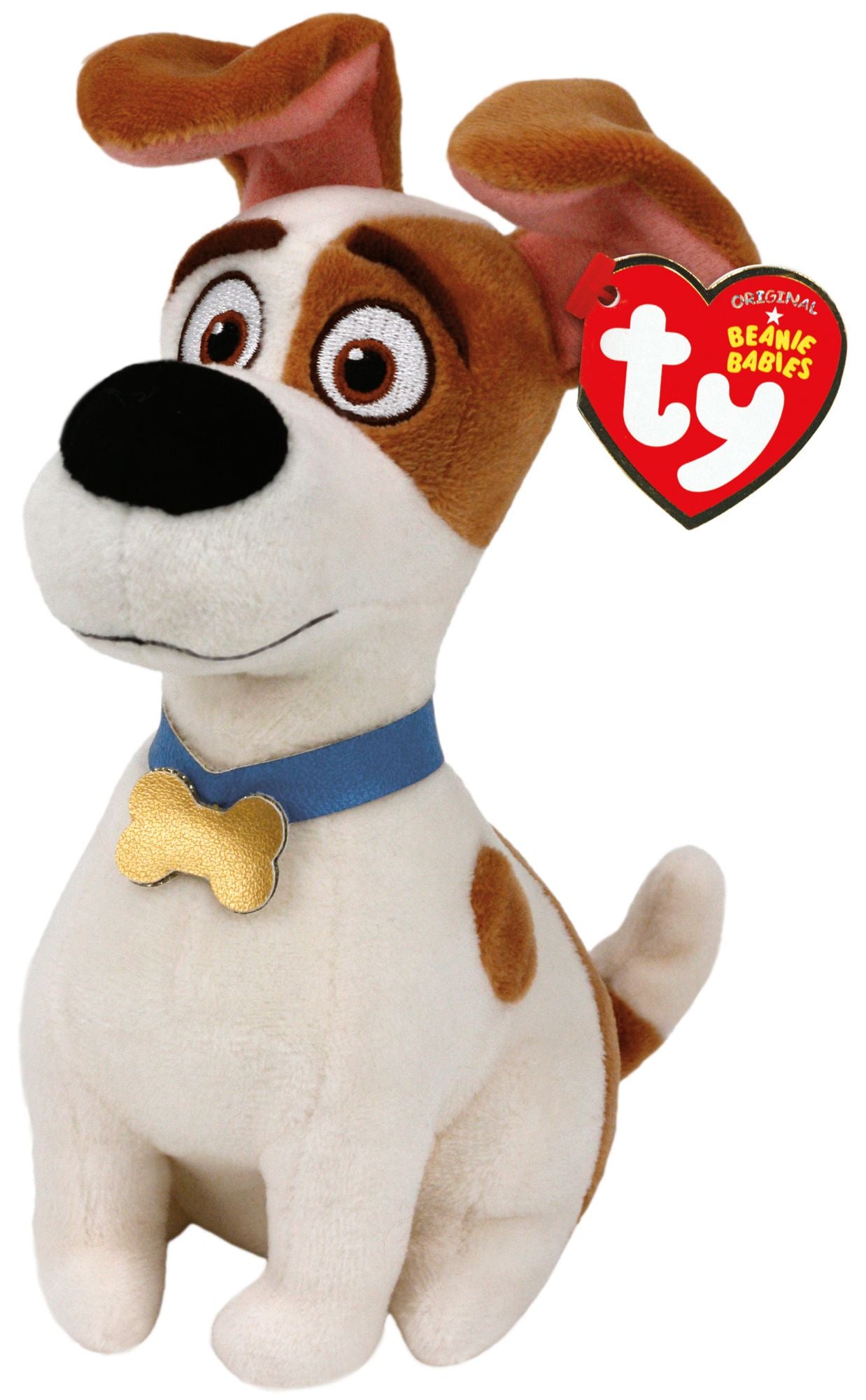 MAX - Terrier reg