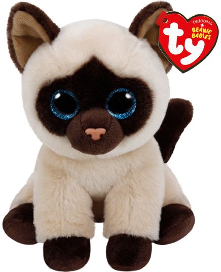 JADEN - siamese cat reg