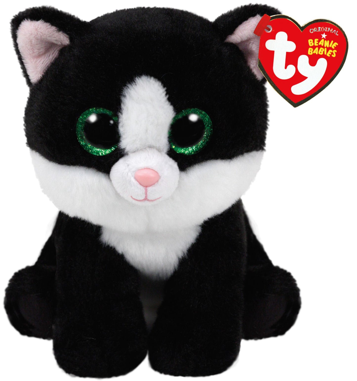 AVA - black/white cat reg