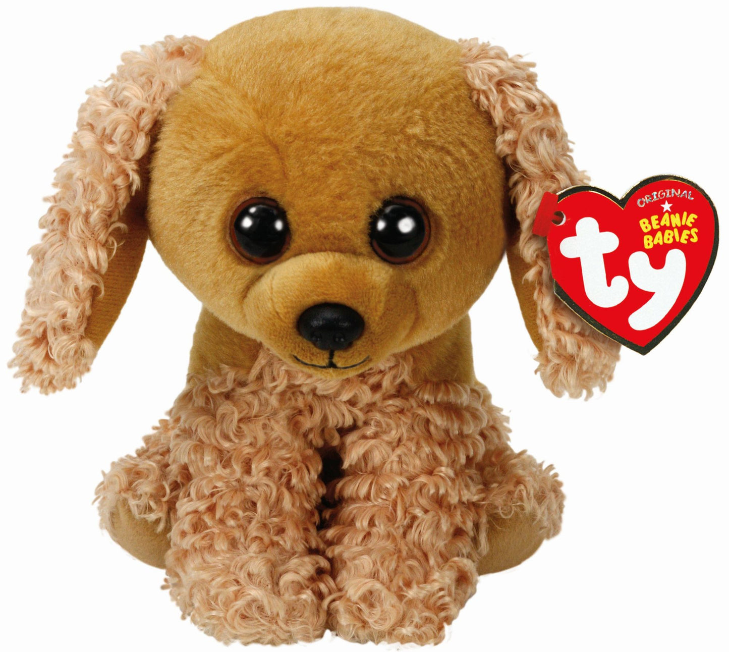 SADIE - tan cocker spaniel reg