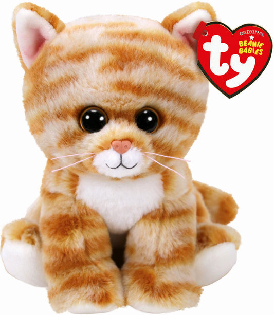 CLEO - Gold Tabby Cat REG