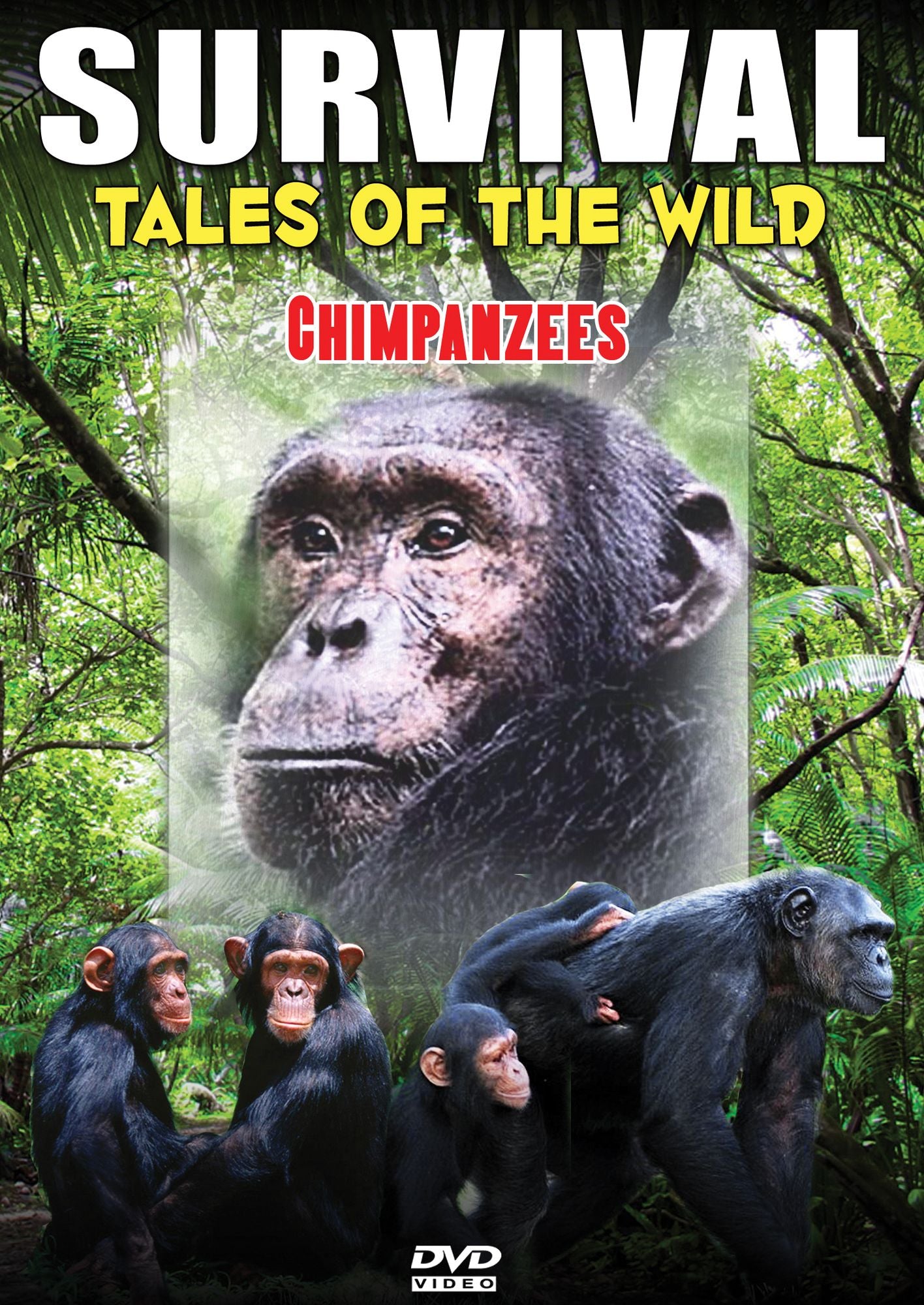 Survival: Tales of the Wild - Chimpanzees