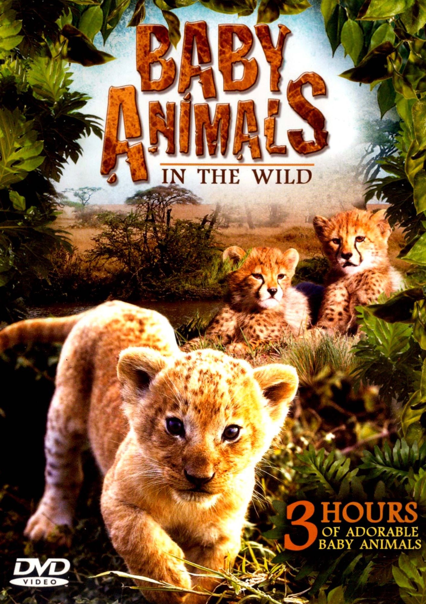 Baby Animals in the Wild