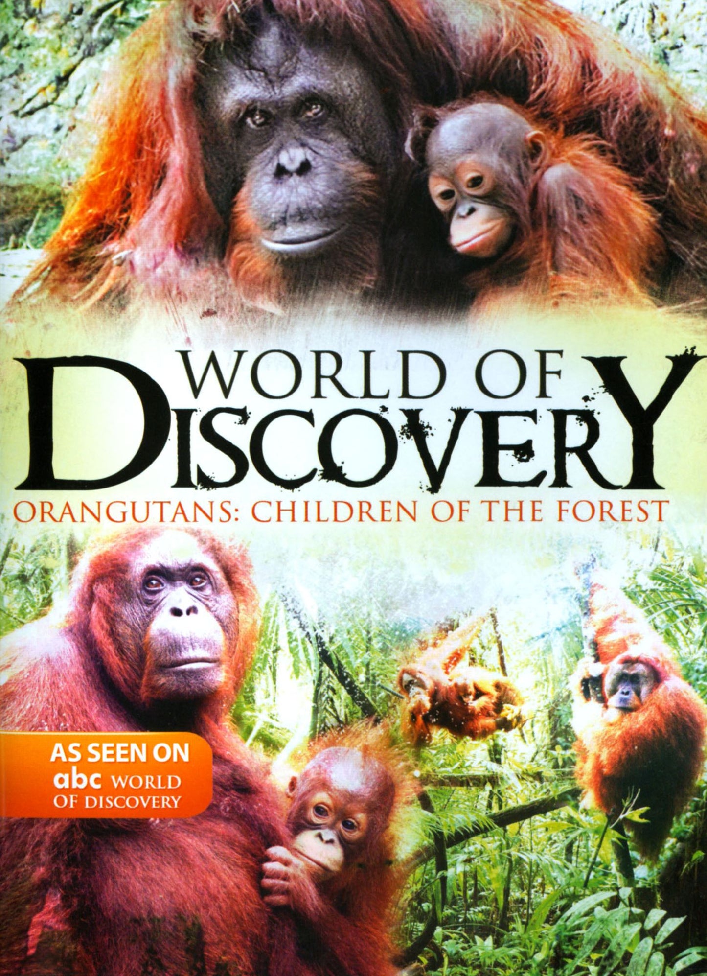 Abc World Of Discovery: Orangutans - Children Of The Forest