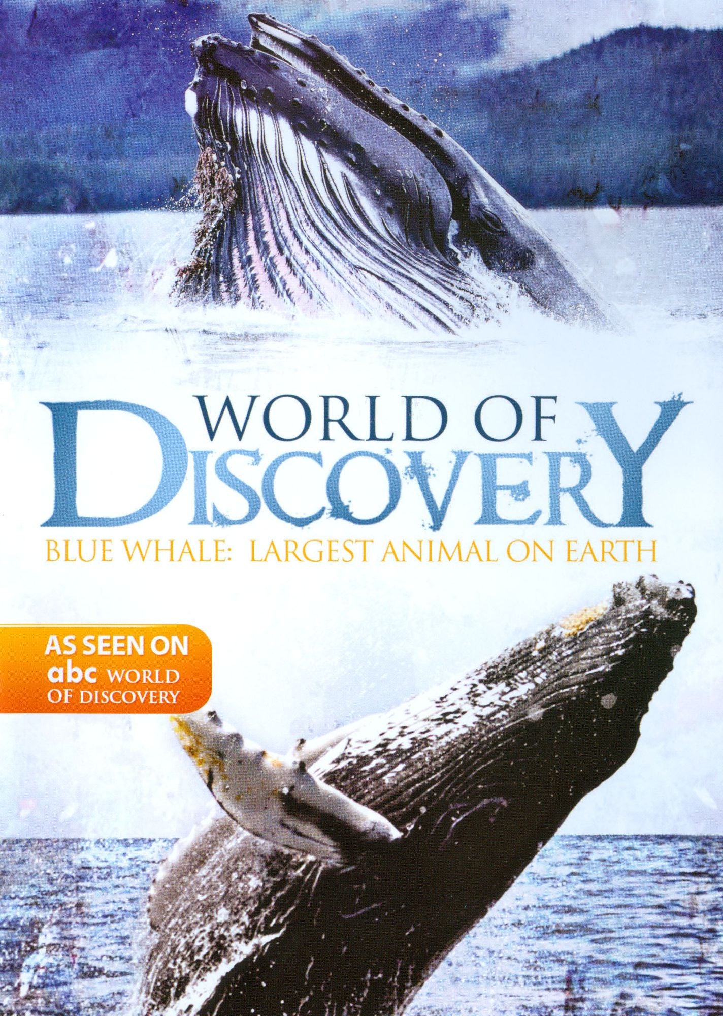 Abc World Of Discovery: Blue Whale - Largest Animal On Earth