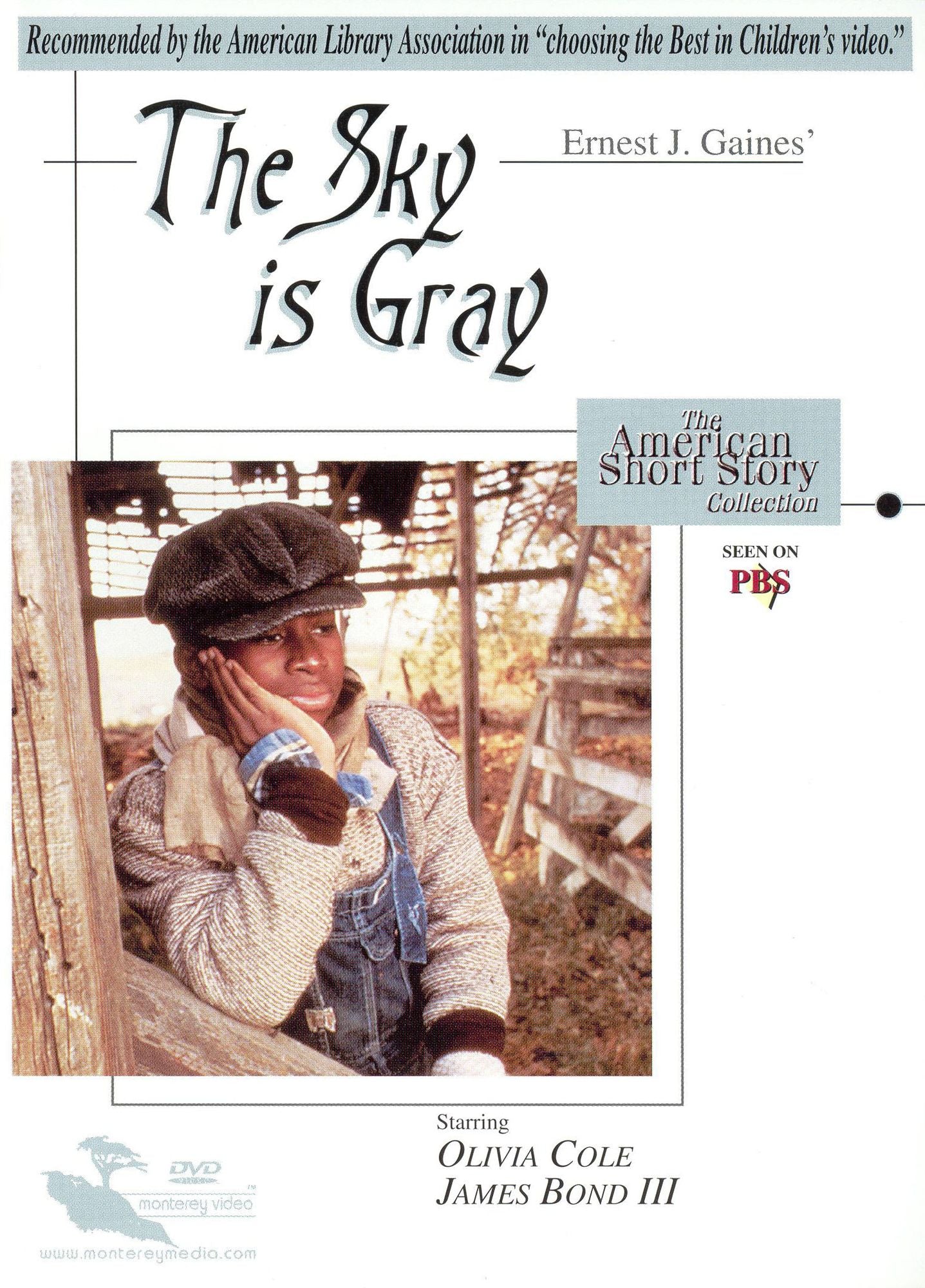 Ernest J. Gaines' The Sky Is Gray