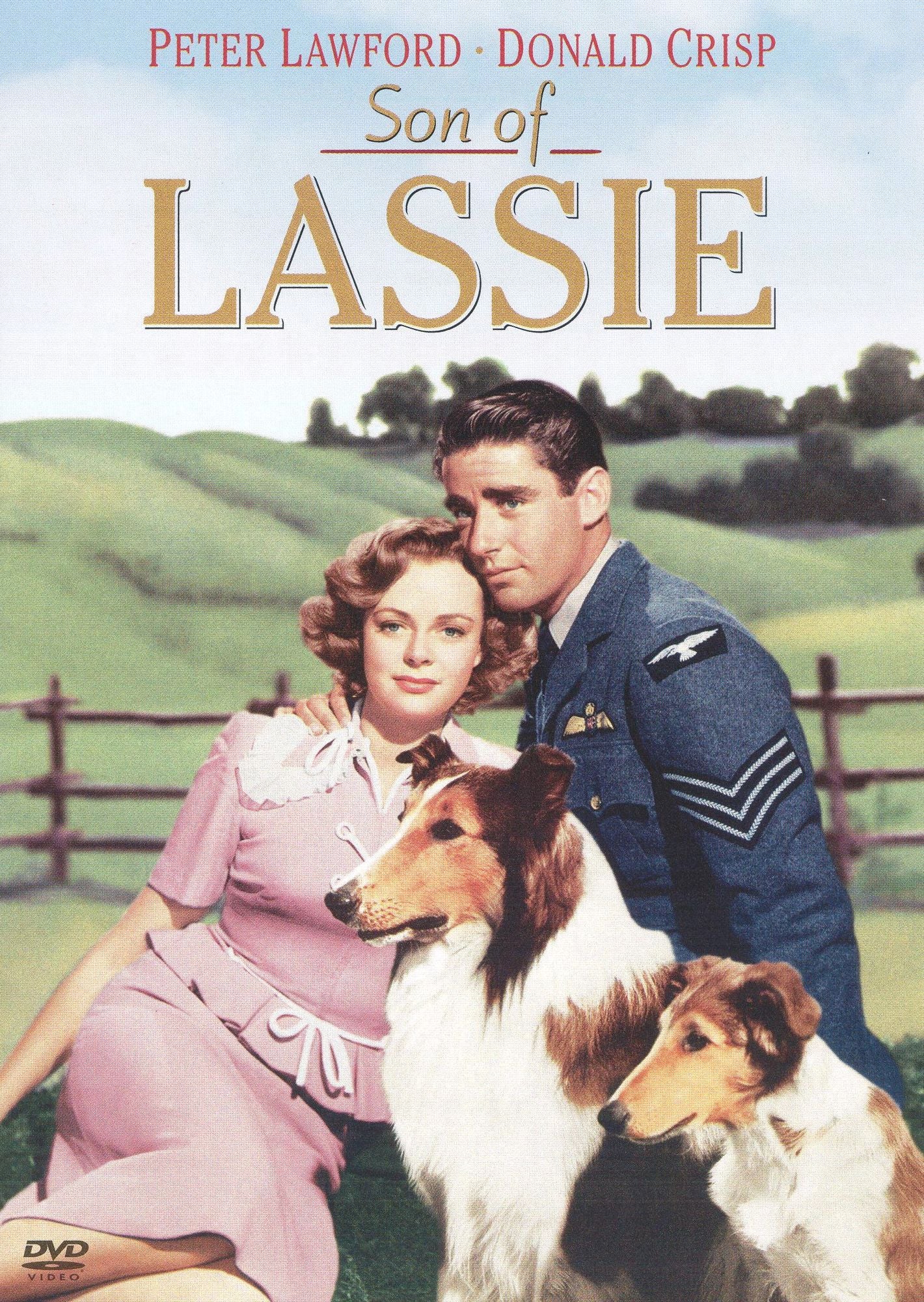 Son of Lassie