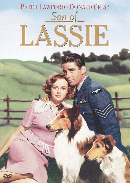 Son of Lassie