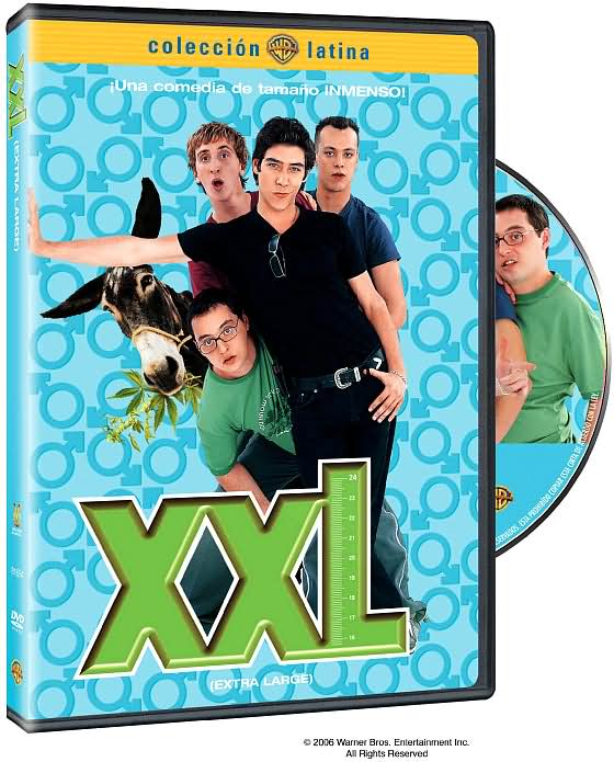 XXL (Extra Large)