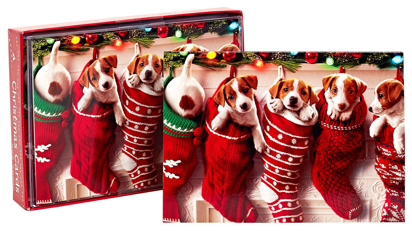 Puppies In Stockings Christmas Boxed Card
