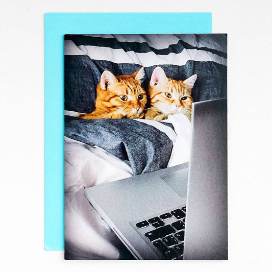 ANNIV Binge Cuddle Repeat