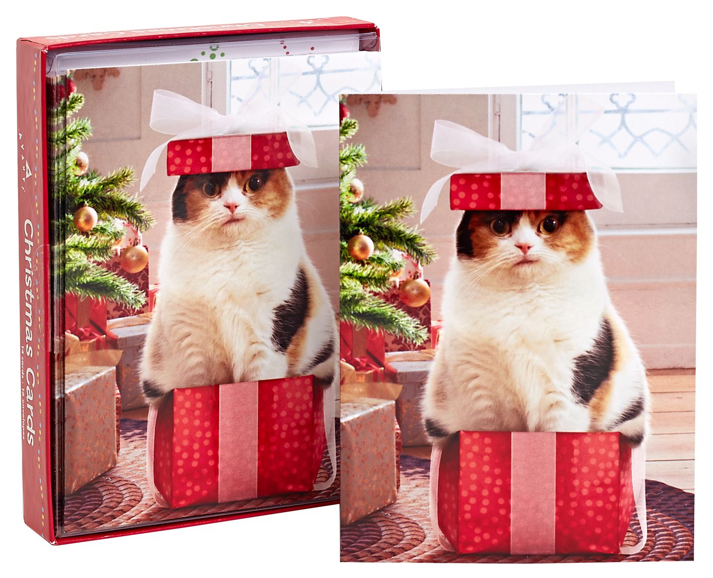 Gift Wrapped Cat Christmas Boxed Card