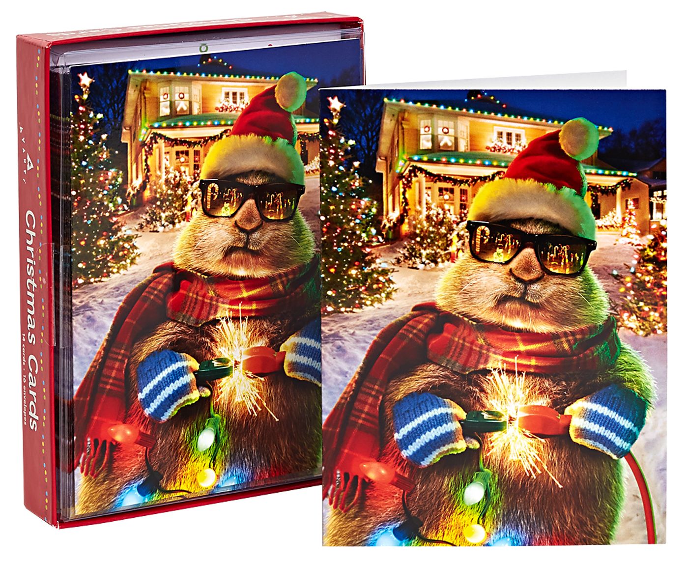 Prairie Dog Christmas Lights Christmas Boxed Card