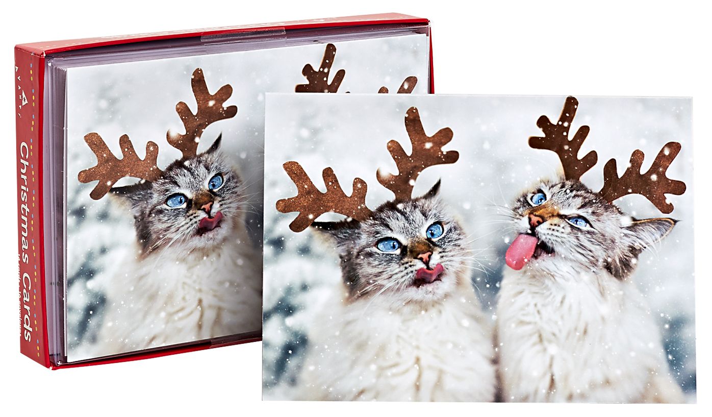 Cats Eating Snow Christmas Boxed Card