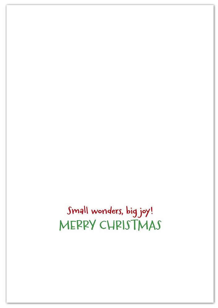 Cats Eating Snow Christmas Boxed Card