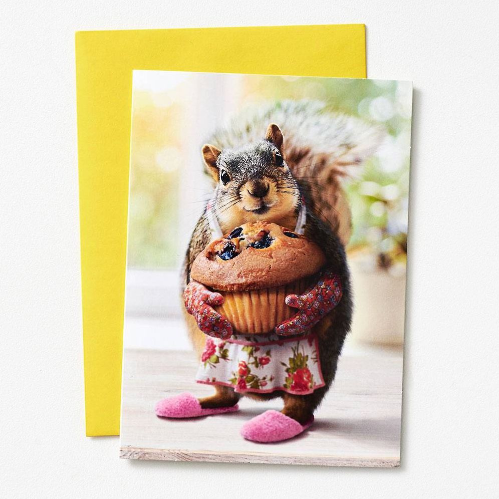 MDAY Baking Squirrel