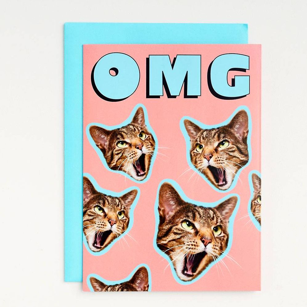 BDAY OMG Cat