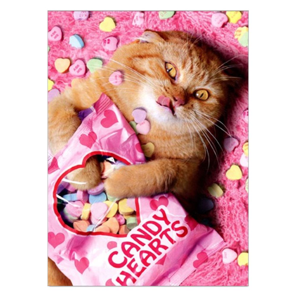 VAL Sweetheart Cat