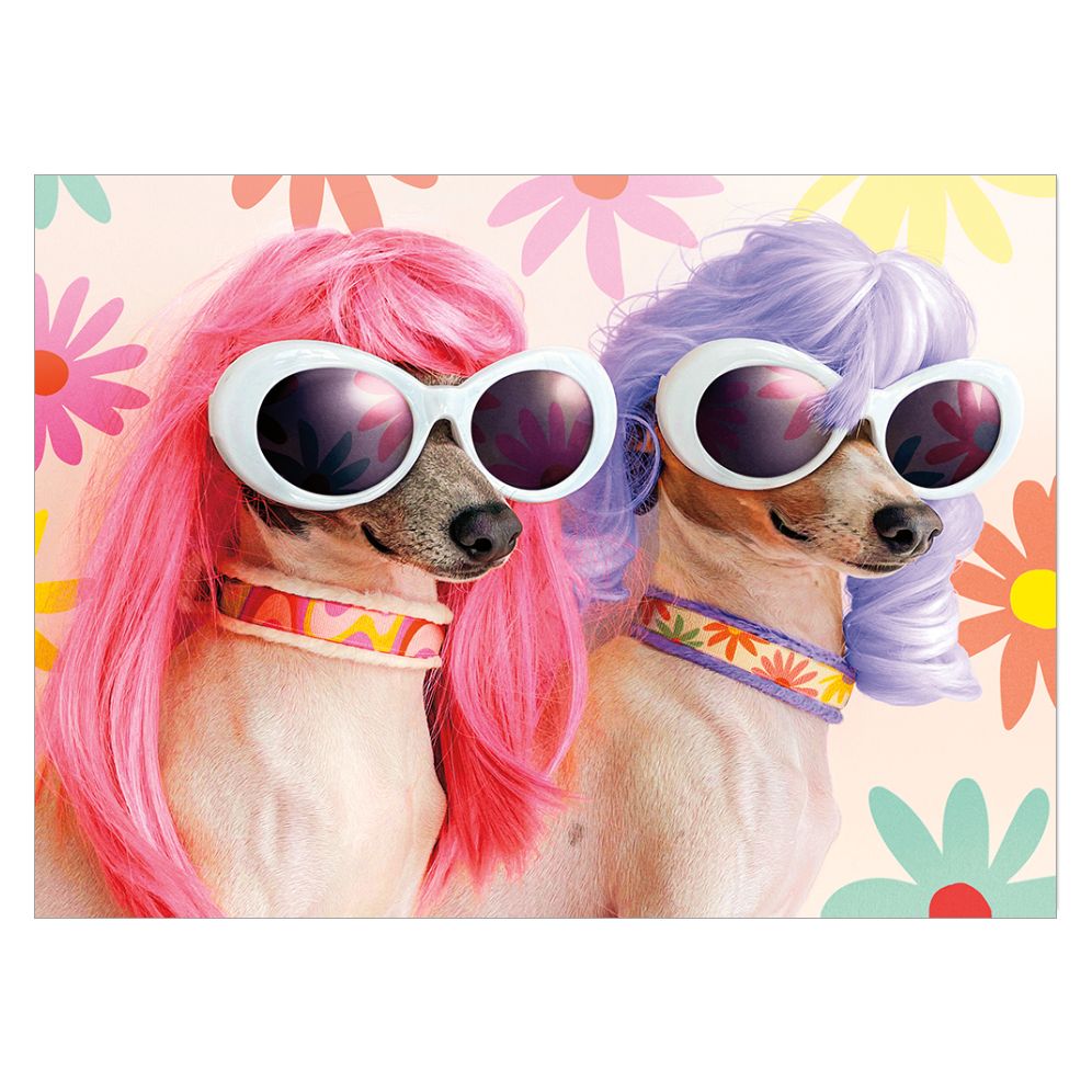 FRND Dogs in Wigs