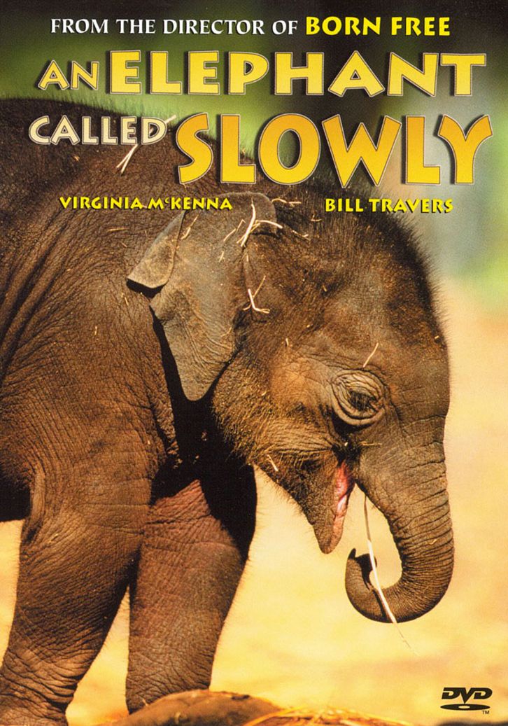 An Elephant Called Slowly / Mov