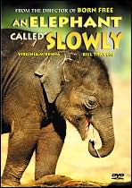 An Elephant Called Slowly / Mov