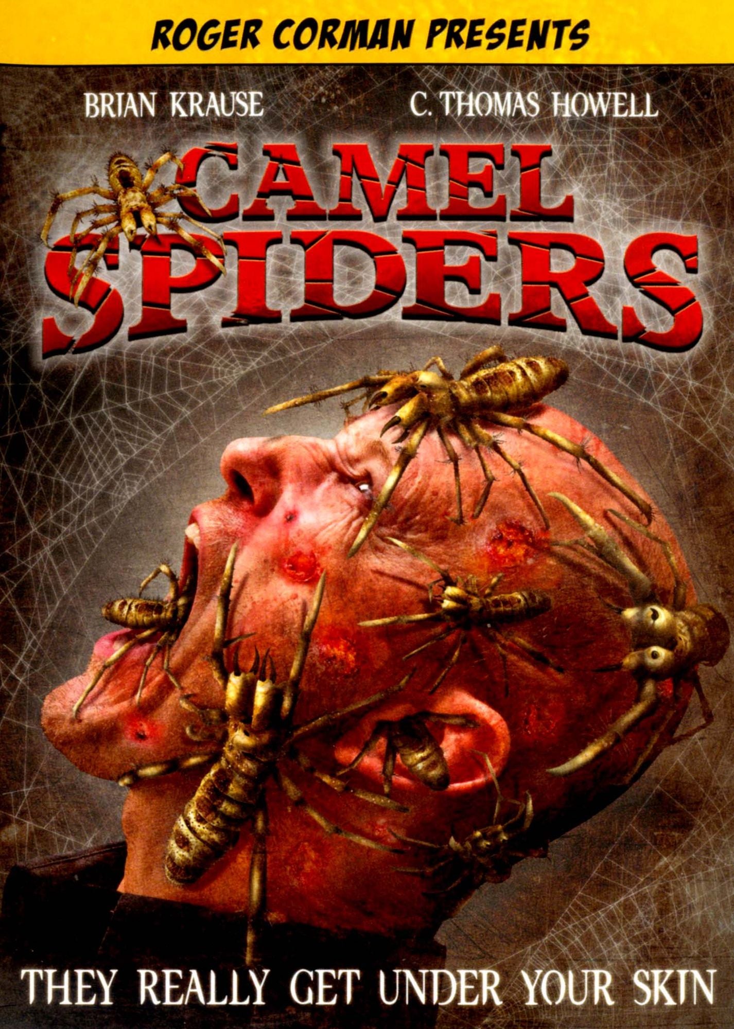 Camel Spiders