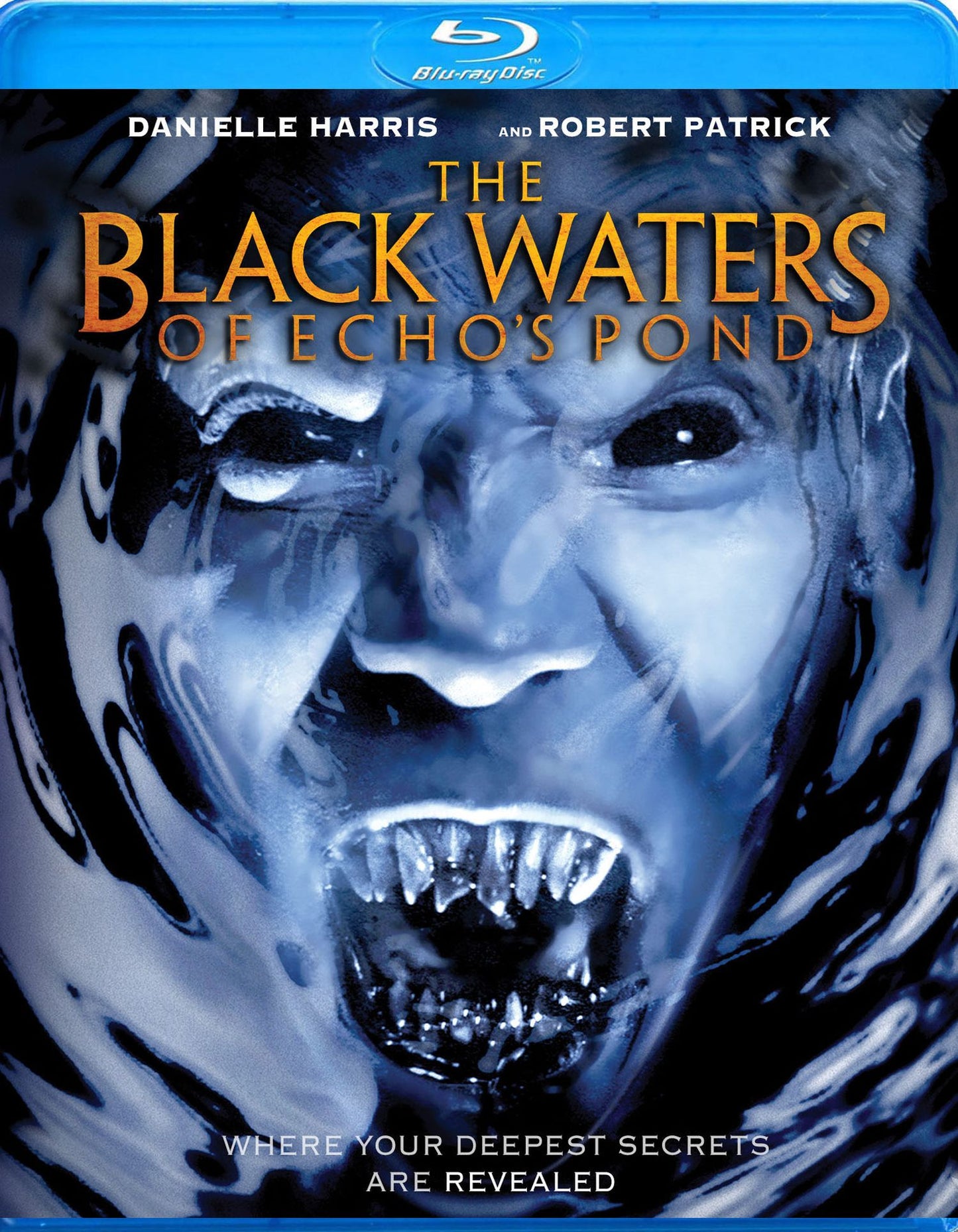 BLACK WATERS OF ECHO'S POND (BR