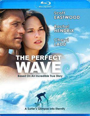 PERFECT WAVE / (BR)