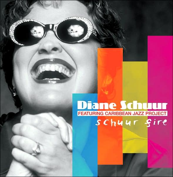 Schuur Fire
