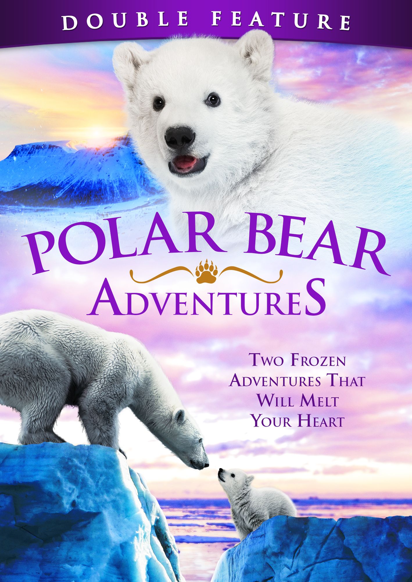 Knut And Friends/the Journey Home