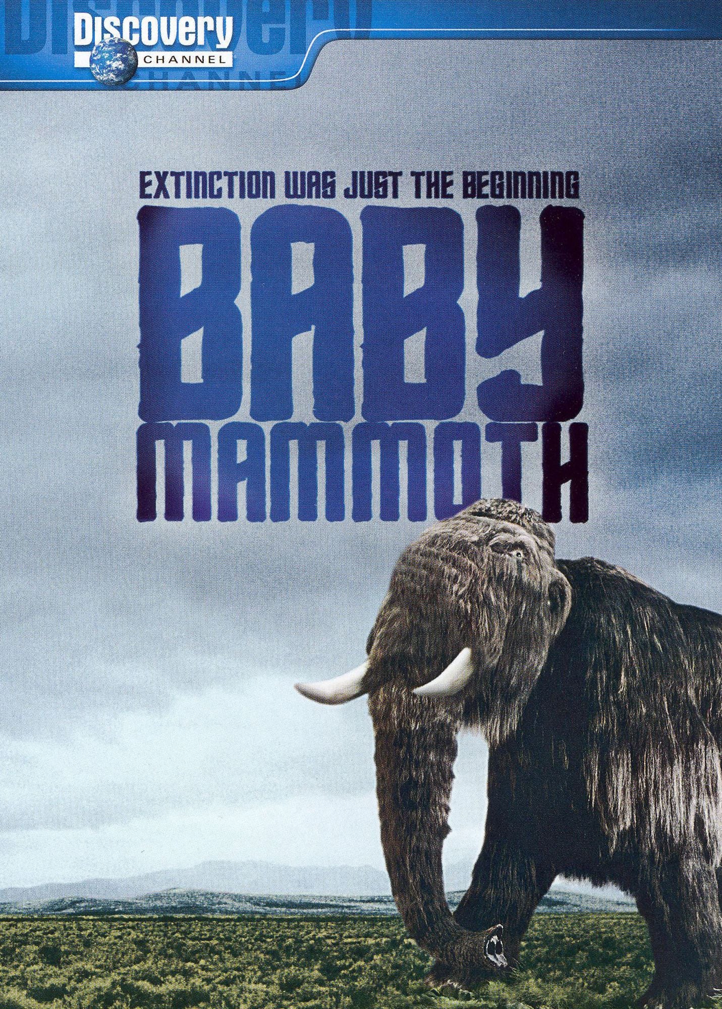 Baby Mammoth