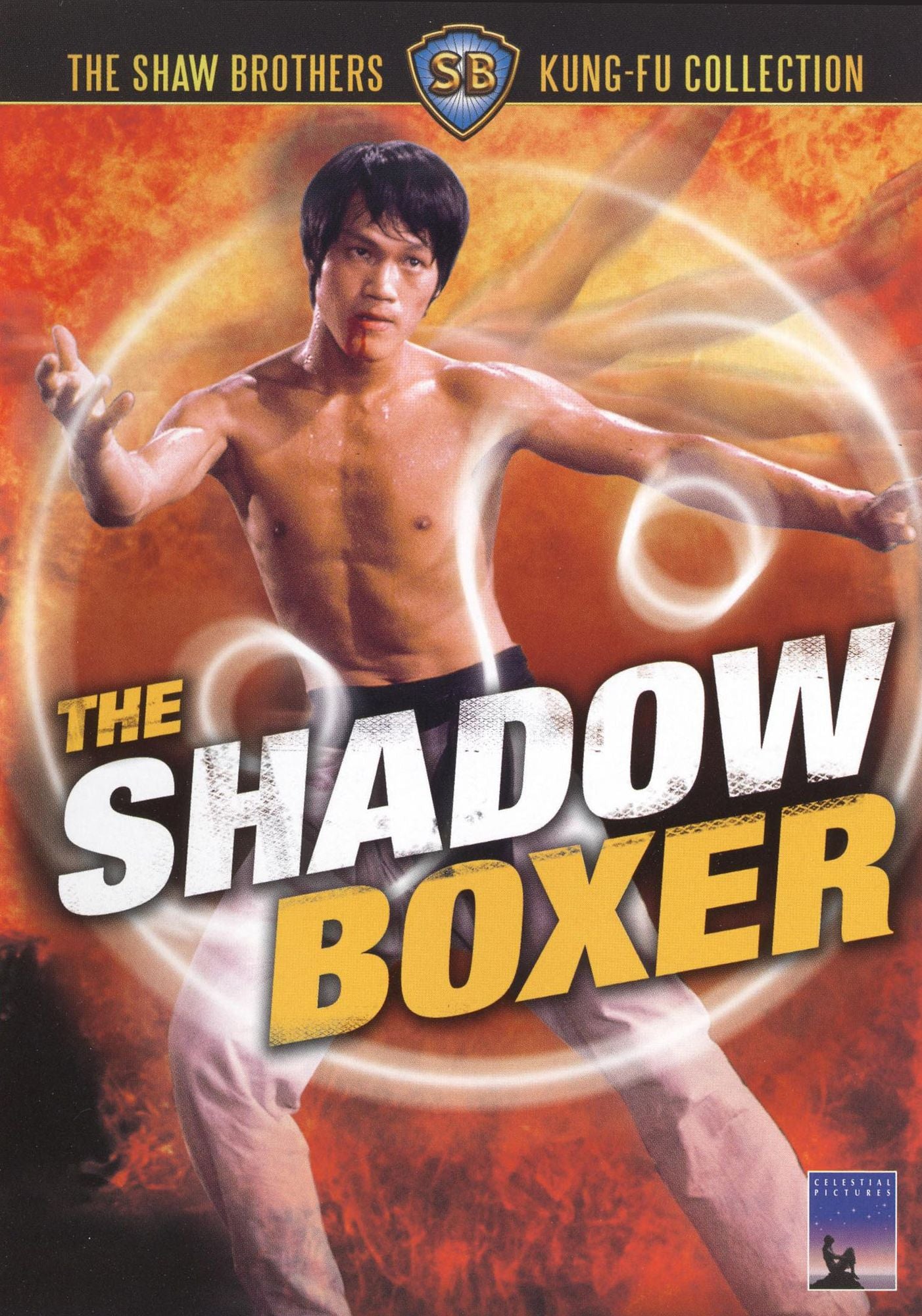 The Shadow Boxer