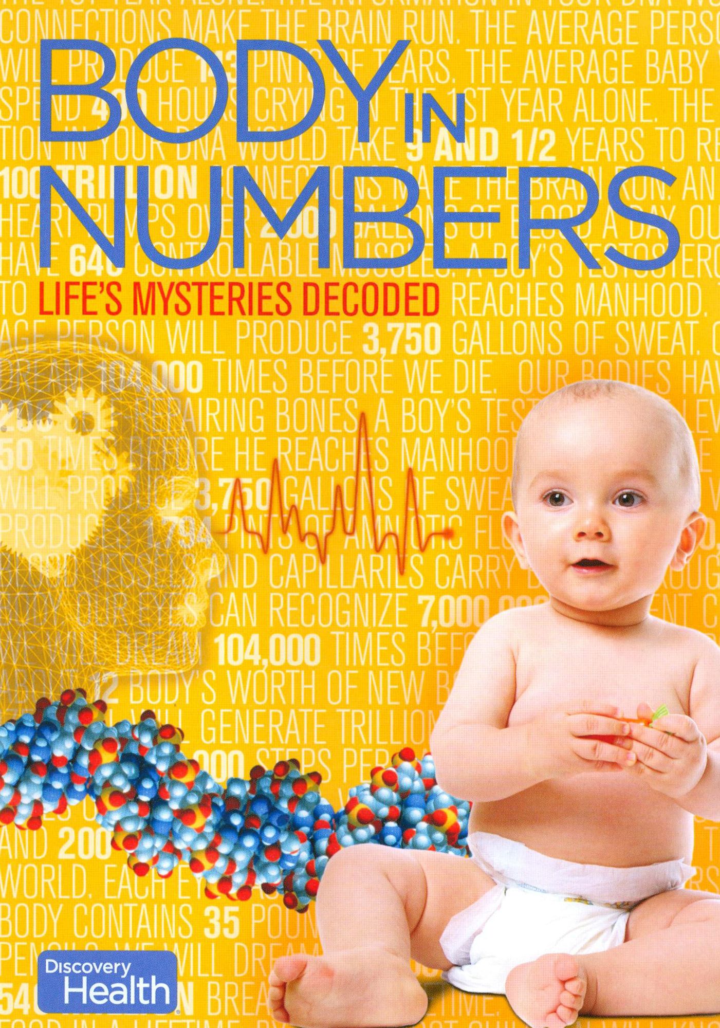 Body in Numbers