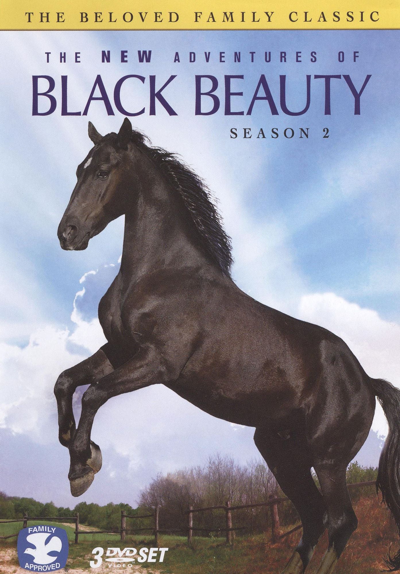 The New Adventures of Black Beauty: Season 2 [3 Discs]