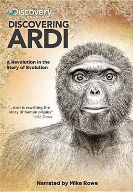 Discovering Ardi