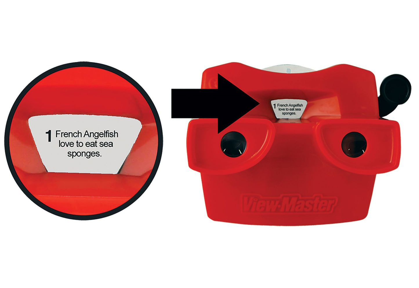 Viewmaster Boxed Set