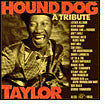 Hound Dog Taylor: A Tribute