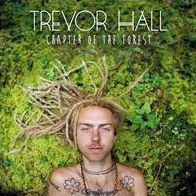 Chapter Of The Forest