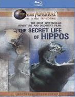The Secret Life Of Hippos