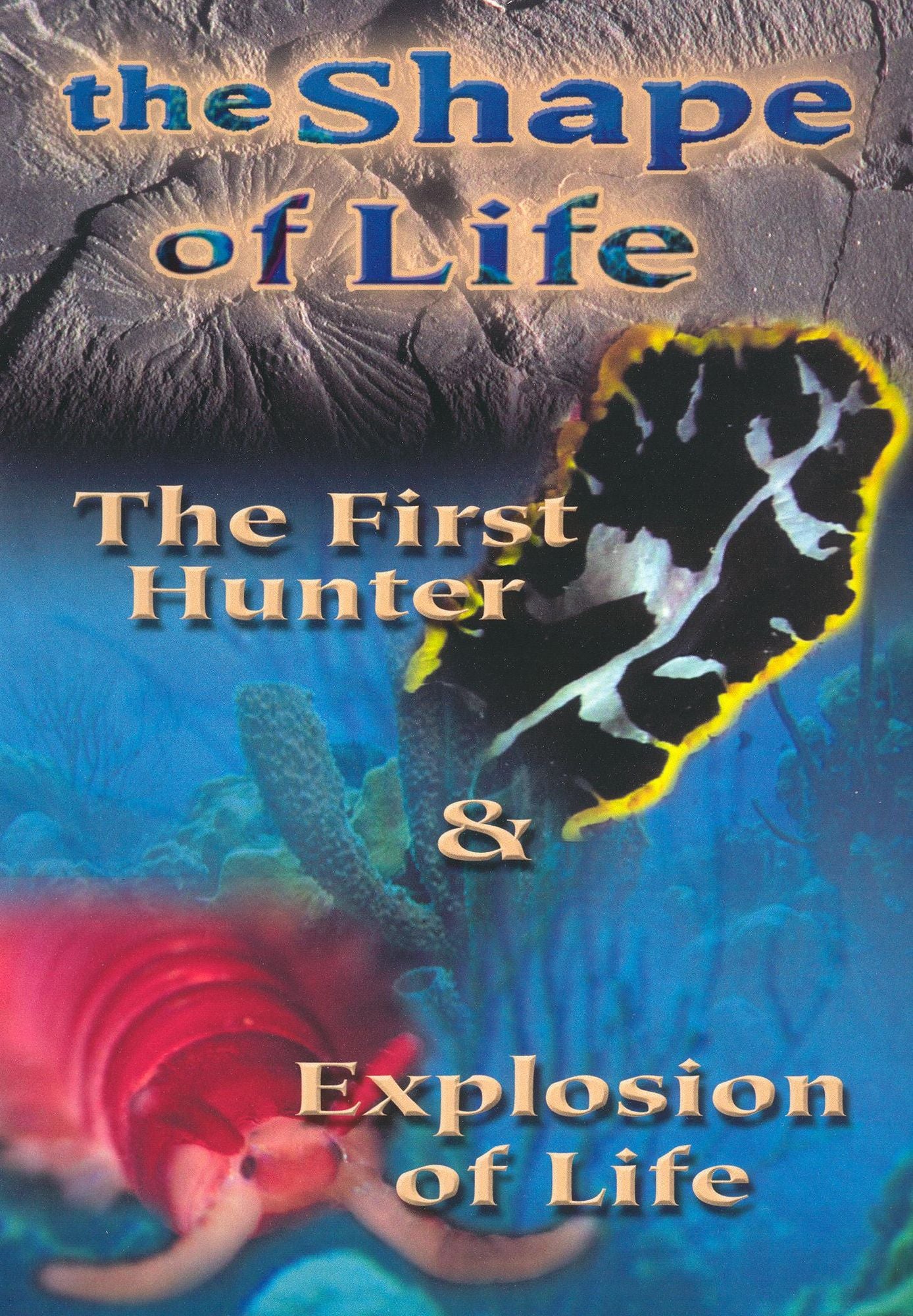 Shape Of Life 2: First Hunter & Explosion