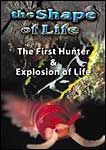 Shape Of Life 2: First Hunter & Explosion