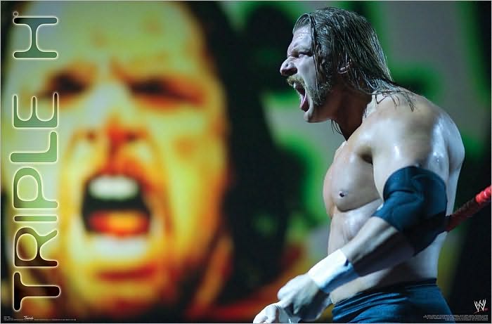 Triple H - WWE - Poster