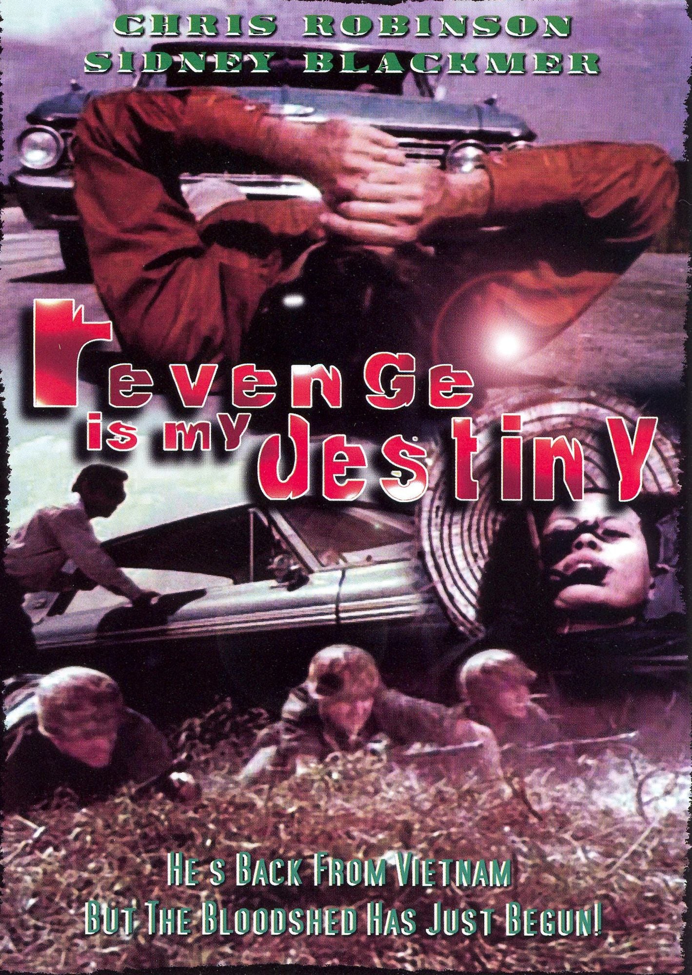 Revenge Is My Destiny