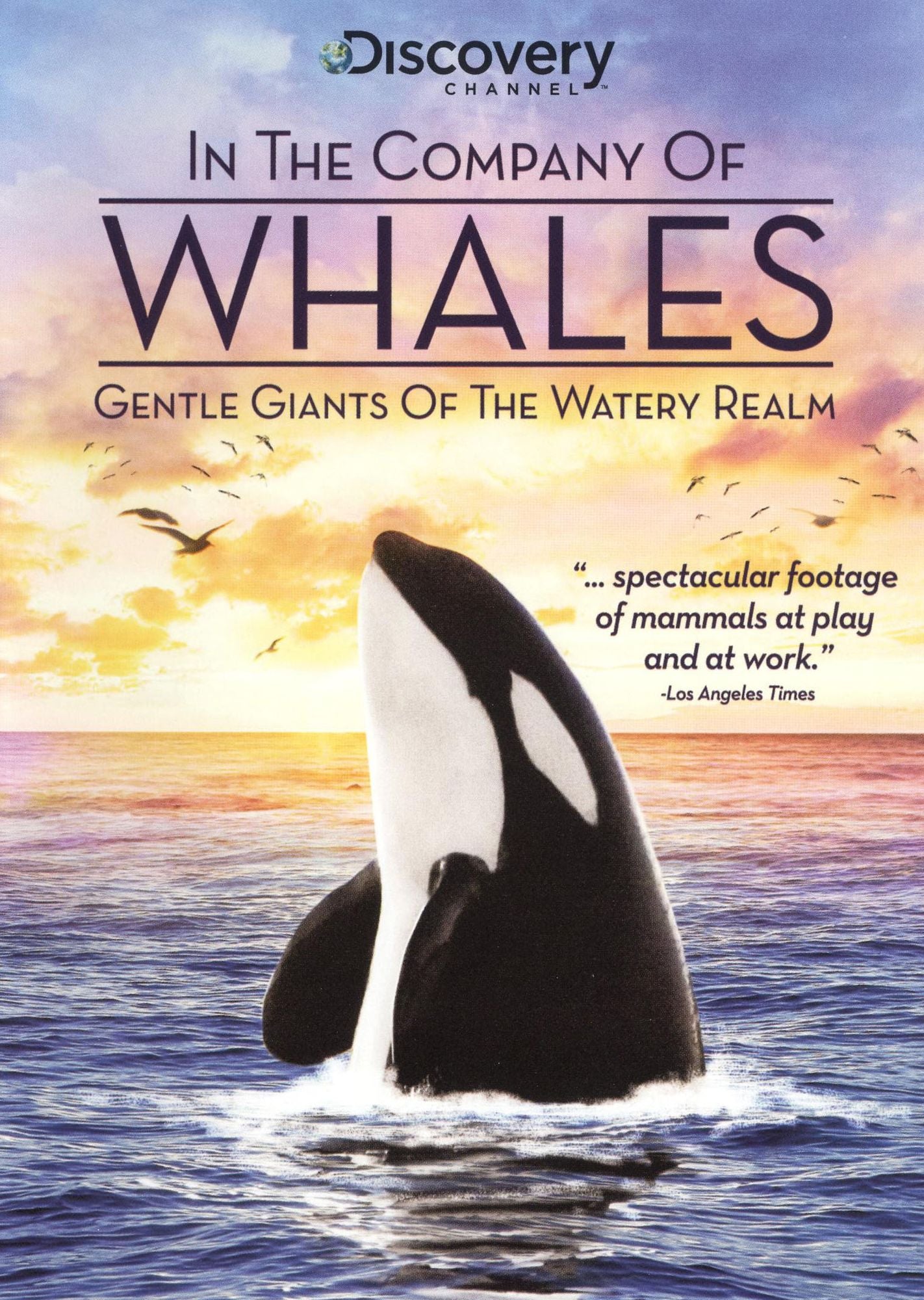 In the Company of Whales