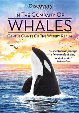 In the Company of Whales