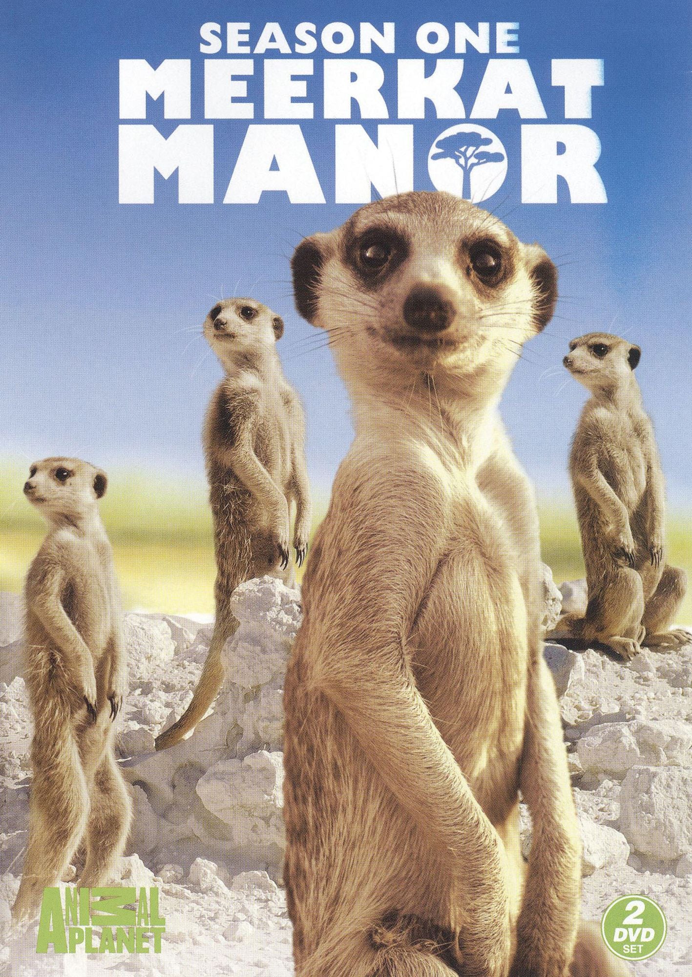 Meerkat Manor: Season One [2 Discs]